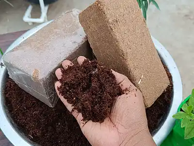 agriculture-industries