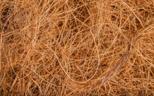 Why Coco Peat is the Future of European Greenhouses