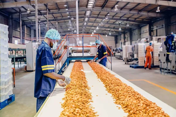 our process - production - food
